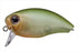 OSP Bass Lure Bazin Crank Ghost Lime Chart G35