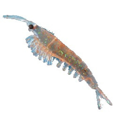 Nikko Chemical 089 Krill L Chameleon Orange Flakes