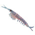 Nikko Chemical 090 Krill M Chameleon Pink Flake