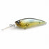 RAID JAPAN Level Shad #025 NATURALSHAD