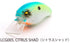 RAID JAPAN Level Crank Gorilla Citrus Shad