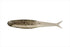 DSTYLE VIROLA 2.8 inch Japan Fish