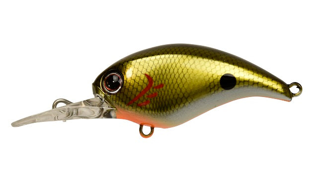 DSTYLE Crawl-up Kinkuro