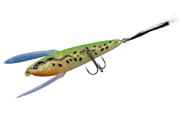 DSTYLE RESERVE Tree Frog