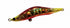 Blaze Eye Seabass Lure Lipless Evoluts 99VSP #05 W Chart Red Lotus