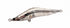 Blaze Eye Seabass Lure Lipless Evoluts 99VSP #42 Micro Flash
