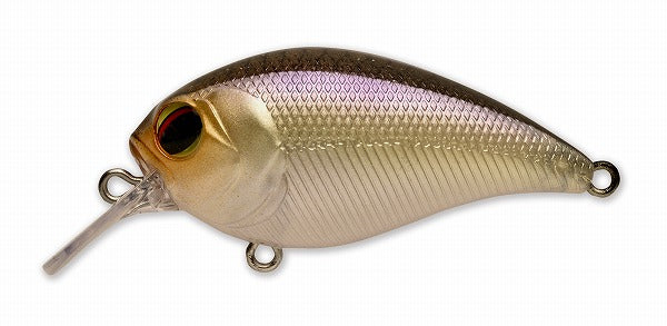 Pay Forward One Eight SR #006 Ghost Shad