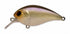 Pay Forward One Eight SR #006 Ghost Shad