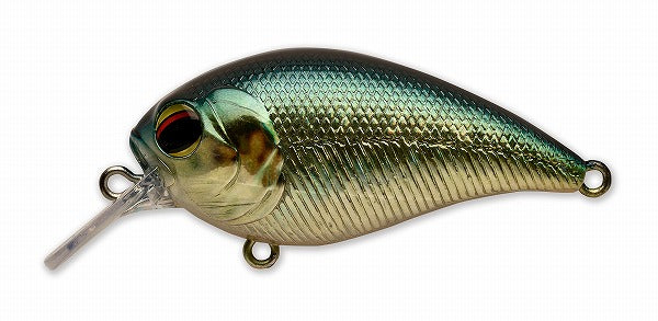 Pay Forward One Eight SR #009 American Sunfish