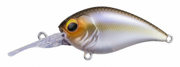 Pay Forward One Eight MR #006 Ghost Shad