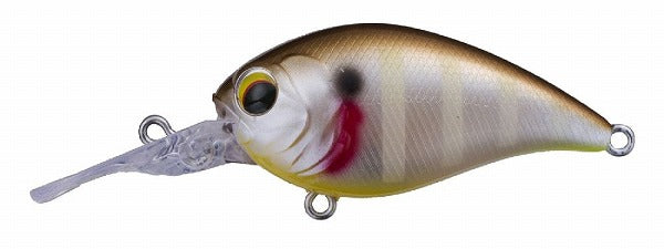 Pay Forward One Eight MR #010 Stain Gill