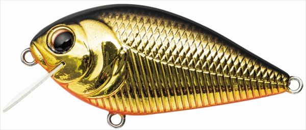 Pay Forward Bass Lure Kohira #007 Champagne Gold