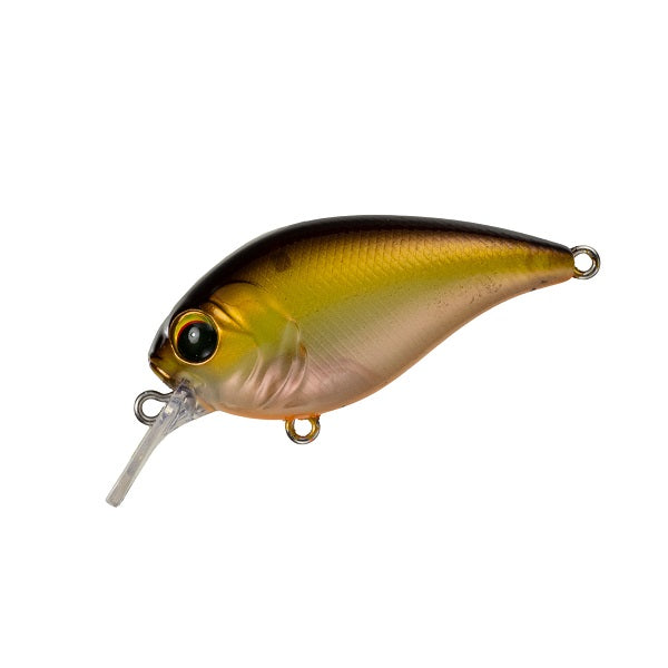 Pay Forward One Eight SR #016 Horizon Shad