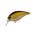Pay Forward One Eight SR #016 Horizon Shad