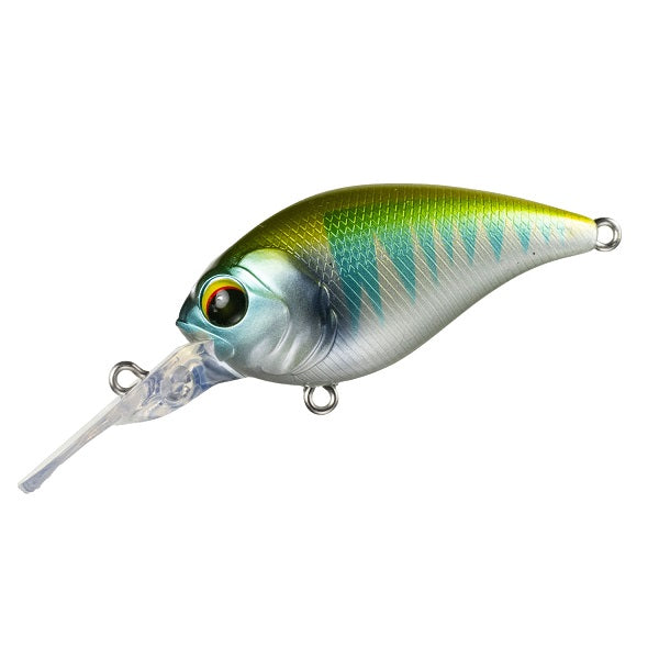 Pay Forward One Eight MR #015 Oikawa