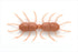 IMAKATSU Fujin Spider Trailer (Eco Friendly) #473 Site Cinnamon