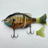 IMAKATSU Bass Lure Gillroid Jr. 3D Realism #868 3D Male Gill