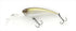 IMAKATSU Bass Lure IMAKATSU SHAD IS WASP IS WASP Standard Color #875 Legendary Ghost Ayu
