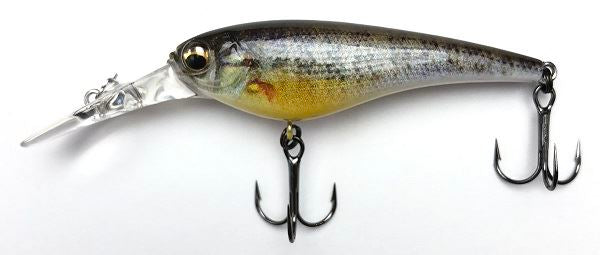 IMAKATSU Bass Lure IS Wasp 55 3D Realism #749 3D Ghost Cogill