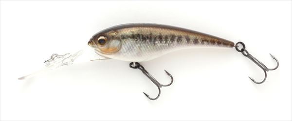 IMAKATSU Bass Lure IMAKATSU SHAD IS WASP IS WASP 60 Cut Fast 3D Realism #720 Ultra Nonkey