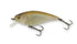 IMAKATSU Bass Lure Gekiasa Shad 3D Realism #869 3D Dry Smelt