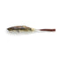 IMAKATSU Bass Lure iArrow65 (iArrow 65) SP 3D Realism (D) #832 3D Mihara Mud Tenaga