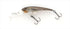 IMAKATSU Bass Lure IMAKATSU SHAD IS WASP IS WASP 50 3D Realism #720 Ultra Nonkey