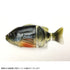 IMAKATSU Javagil 110 Inline Real Color (Eco-Friendly) #S-433 RC Lake Biwa Male Gil