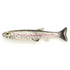 IMAKATSU Worm Huddle Swimmer Elastomer 4.5 inches #S-179 Rainbow Trout