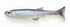 IMAKATSU Worm Huddle Swimmer Elastomer 4.5 inch (Eco) #S-503 Blue Smelt