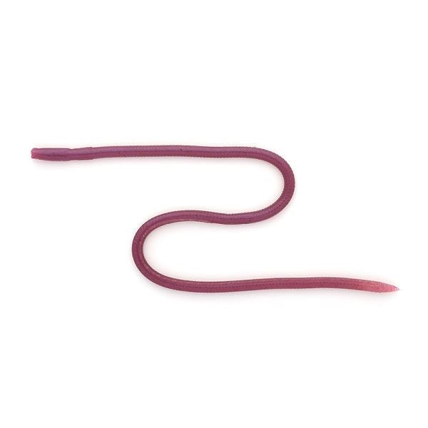 IMAKATSU Worm Skinny Eel Crawler 12 inch (Eco-friendly) #S-462 Miprimitive Earthworm