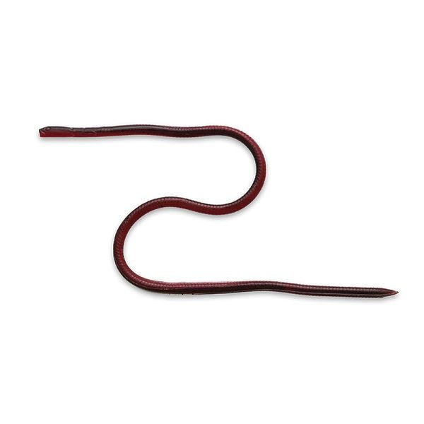 IMAKATSU Worm Skinny Eel Crawler 12 inch (Eco-friendly) #S-516 IMAE GP Peppa