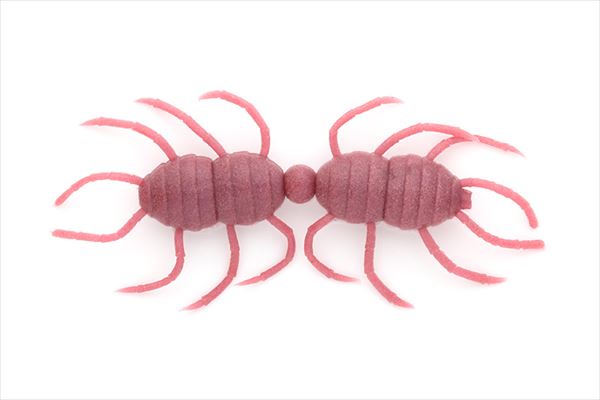 IMAKATSU Worm Fujin Spider Trailer (Eco-Friendly) #S-509 Takara Mite