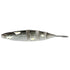 IMAKATSU Worm JAVALLON 160 (Eco-Friendly Product) 3D Realism #S-543 3DR Kabibora