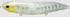 Hide Up Seabass Lure Pylon 185 Salt #S-252 Cold Clear Shad