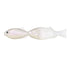 Issei Issey Worm Gilgil 2.8 inch #62 Young Gil (Clear)