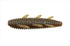 Issei Issey Worm Sinking Bug 1.8 inch #69 Kuisiburi Pumpkin