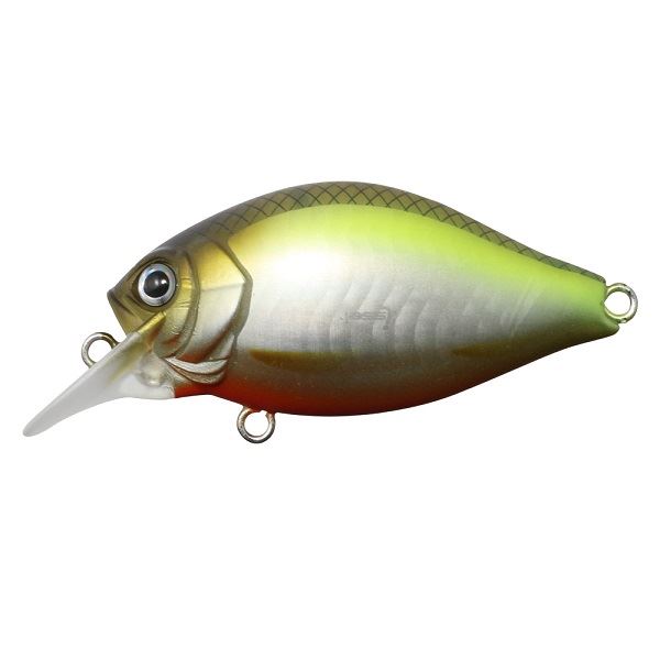 issei Bass Lure GC Shallow Crank 40SR "Chira" #01 Murakami Shad