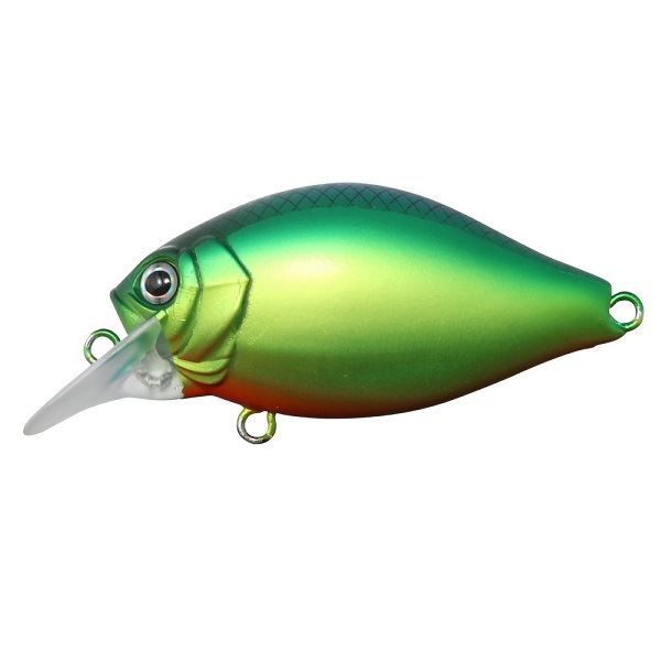 issei Bass Lure GC Shallow Crank 40SR "Chira" #20 Chart Blue Back