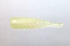 Issei Issey Kaitaro Large Flying Shrimp Set Tachiuo 10g #1/0+2.5 inch #012 Glow