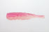 Issei Issey Worm Large Winged Shrimp Set Hairtail 24g #2/0+2.5inch #050 Chameleon Glow