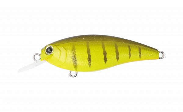 Bottom Up Reazzy KO Tiger