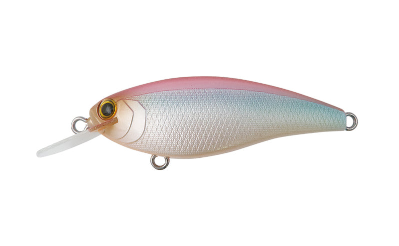 Bottom Up Reazzy Appeal Plus Pink Backbone