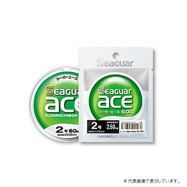 KUREHA Seaguar Ace 10m No. 5