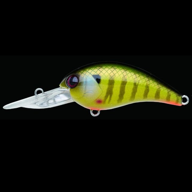 NORIES Warming Crank Shot Full Size 309 Pearl Real Gill