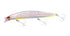 SHIMANO Seabass Lure XG-814U Netsuna Spin Breeze 140S Flash Boost 006 F Kiss