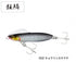 SHIMANO XG-880U Netsuna Wing Beam 80HS Sardine Edition 002 Kyorin Katakuchi