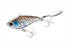 SHIMANO Seabass Lure XH-V14U Brennius Rise Spin 14g 007 Tourin Inako