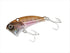 SHIMANO Bass Lure ZR-V10T Bantam BT Vibe Solid 10g 013 Tourin Smelt