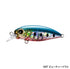 SHIMANO Soare Rise Shot 37F OM-137R Beauty Sardine 04T